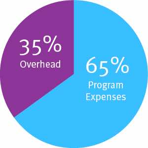 nonprofit budget expenses chart