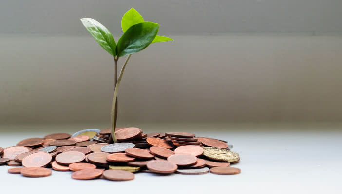 Plant growing in a pile of coins